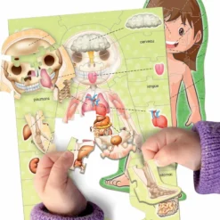 Educa Borras LE CORPS HUMAIN -Magasin De Jouets Vtech 05fa5db02a8e91780405ea743f00581c162de642 41010179 04