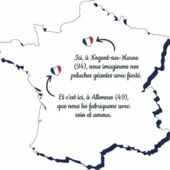 Pioupiou Et Merveilles PELUCHE GASTON OURS CHOCOLAT 60 CM -Magasin De Jouets Vtech 2eca10921d21d74af09f8400f1edcaf6ae2f54bb 41012087 04