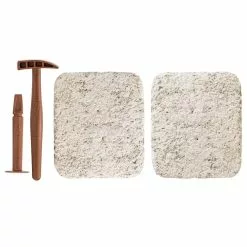 Clementoni ARCHEO LUDIC T REX ET TRICERATOPS PHOSPHORESCENT -Magasin De Jouets Vtech 3f0c52b3479bcb271c1dc47b860f3652aa33179c 04050388 05