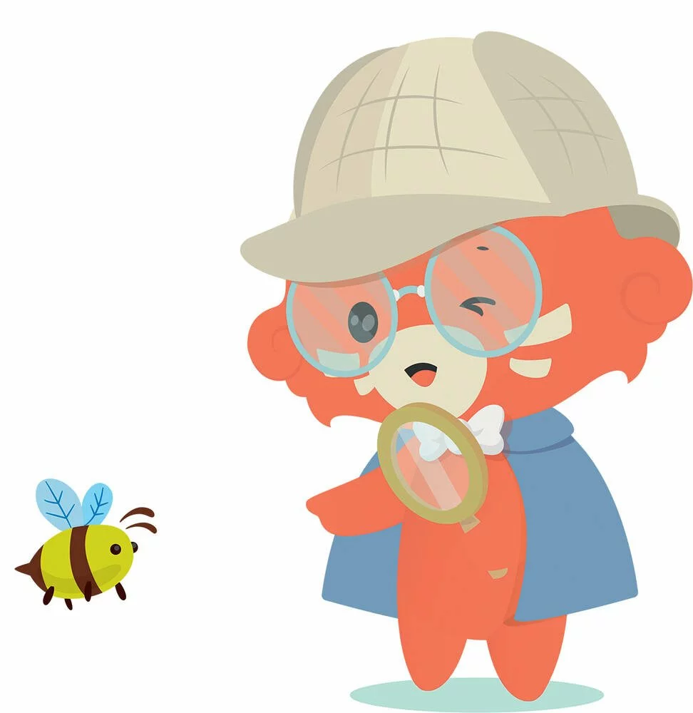 SIDJ BOTAKI - KIT ACTIVITE INSECTES : FABRIQUE TON HOTEL A INSECTES 5 SIDJ BOTAKI - KIT ACTIVITE INSECTES : FABRIQUE TON HOTEL A INSECTES – Image 3