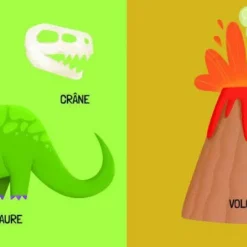 SASSI JUNIOR Q-BOX. LES DINOSAURES -Magasin De Jouets Vtech 9b332403835c147c826e3cadd33488000a645cb7 41031371 05