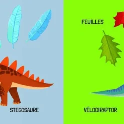 SASSI JUNIOR Q-BOX. LES DINOSAURES -Magasin De Jouets Vtech a40bff22922ec21a5dd9b0f74ffa8fb95f747087 41031371 04