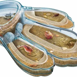 Clementoni TRIOPS LES ANIMAUX PREHISTORIQUES -Magasin De Jouets Vtech adf69ce170836417815c28424f82958f583a7ebc 41003579 03