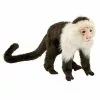 Anima PELUCHE SINGE CAPUCIN - 20 CM 2 Anima PELUCHE SINGE CAPUCIN - 20 CM -Magasin De Jouets Vtech b5d4f05a7a073e9e5bd8088e8d8f79bedef2b25b 08025982