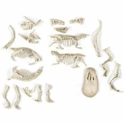 Clementoni ARCHEO LUDIC T REX ET TRICERATOPS PHOSPHORESCENT -Magasin De Jouets Vtech be5b8596ebff1e24665336e35b708a7480e4e3c0 04050388 04