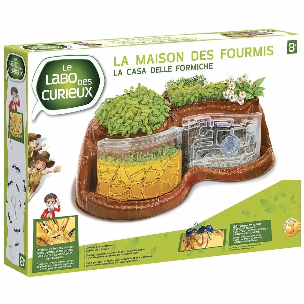 LE LABO DES CURIEUX LA MAISON DES FOURMIS 3 LE LABO DES CURIEUX LA MAISON DES FOURMIS