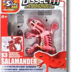 Silverlit DISSECT-IT - SALAMANDRE SLIME A DISSEQUER -Magasin De Jouets Vtech e3952b4f8db482c47d60fbec9e1ca36ff8c69b81 41053781 05