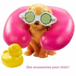 MATTEL POUPEE BARBIE BIEN ETRE MASSAGE -Magasin De Jouets Vtech e8625883400f0955ee04394983d8b8aebd66a6b0 10022411 03