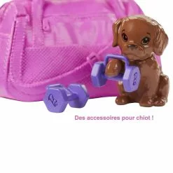 MATTEL POUPEE BARBIE BIEN ETRE SPORT -Magasin De Jouets Vtech f64402e527959059d4a1b1b0e3349225c512a992 10022412 05