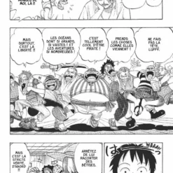 Hachette Livre ONE PIECE LIVRE MANGA TOME 01 -Magasin De Jouets Vtech fb79e10c47e5a72067f6d5b503c1b7707eec0422 41000538 04